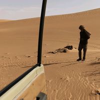 الصوت الأصلي