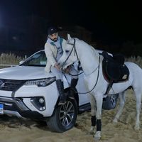mahmoudsoliman503