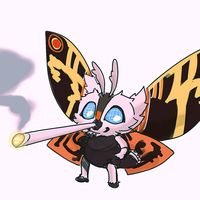 momasos.mothra