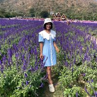 daow_ratchada