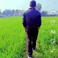 original sound