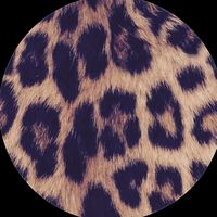 ri_n0269