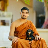 rev.deva