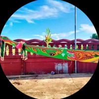 singgvital