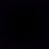 leysi_577