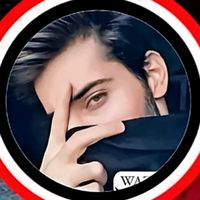 kang.ali786
