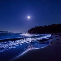 オリジナル楽曲 - マッチ