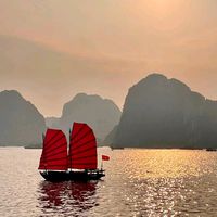 duyhungtran8386