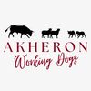 akheron_working_dogs