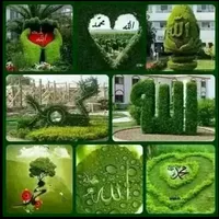 original sound - towhidulislambiplop