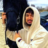 оригинальный звук