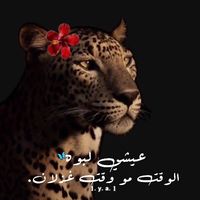 meme__953