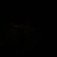 userc4683