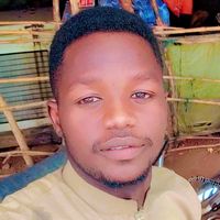 user85611919862633