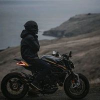 abd_elstar1
