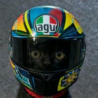hernandz_rb_310cc