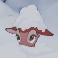 tubabaygirl
