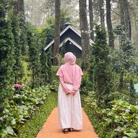 suara asli - adaapwah?