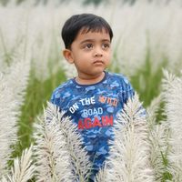 sabuz.sheikh4