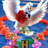 user107273741