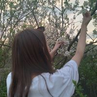 userwsusu12345
