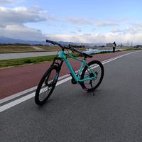 ape50nori