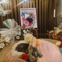 original sound - Diana Rose Mendoza