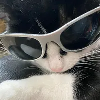 original sound - jp_type_shi