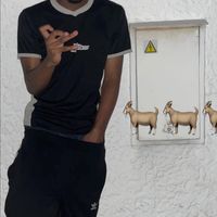luciddx4