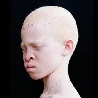 original sound - libanais_spam