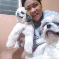 original sound - Yeng Espina