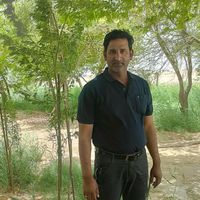 nurulansari9850