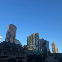 camomileclipse