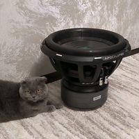 оригинальный звук