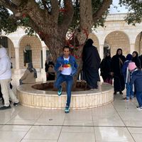 الصوت الأصلي