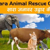 saraanimalrescue