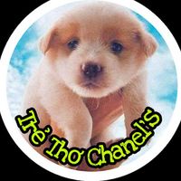 nhạc nền - Trẻ Thơ Chanels