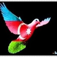 orijinal ses