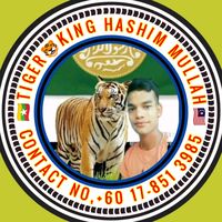 original sound - HASHIM MULLAH TIGER🐅