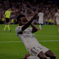 thevini.jr