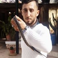 benamarserius