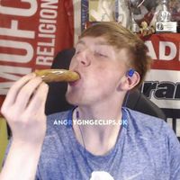 angrygingeclips.uk