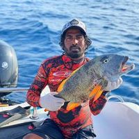 nojudivemaldives