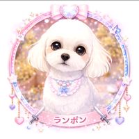 オリジナル楽曲 - 🫧🐶ラン🫧🐶🪄🃏