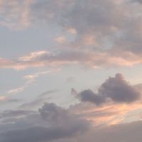 オリジナル楽曲 - 山田