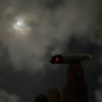 777__.alvrgzo