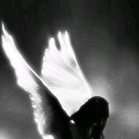 eva.intp