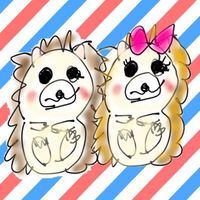 オリジナル楽曲 - FUNBARUTO HEDEL