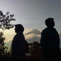 malaanggi