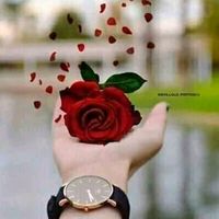 adhurimohabbat35